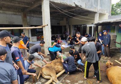 Penyembelihan Hewan Kurban Mudisa Berjalan Lancar